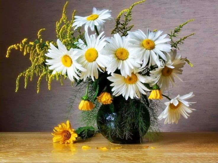 رنگ روغن اورژینال